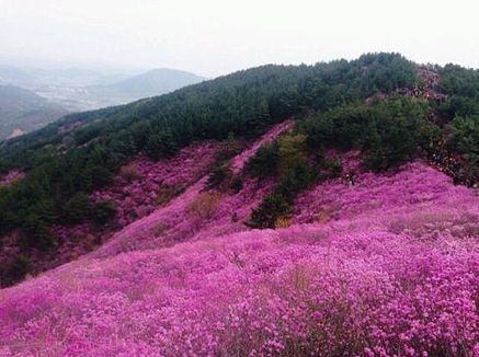 Забайкальский край